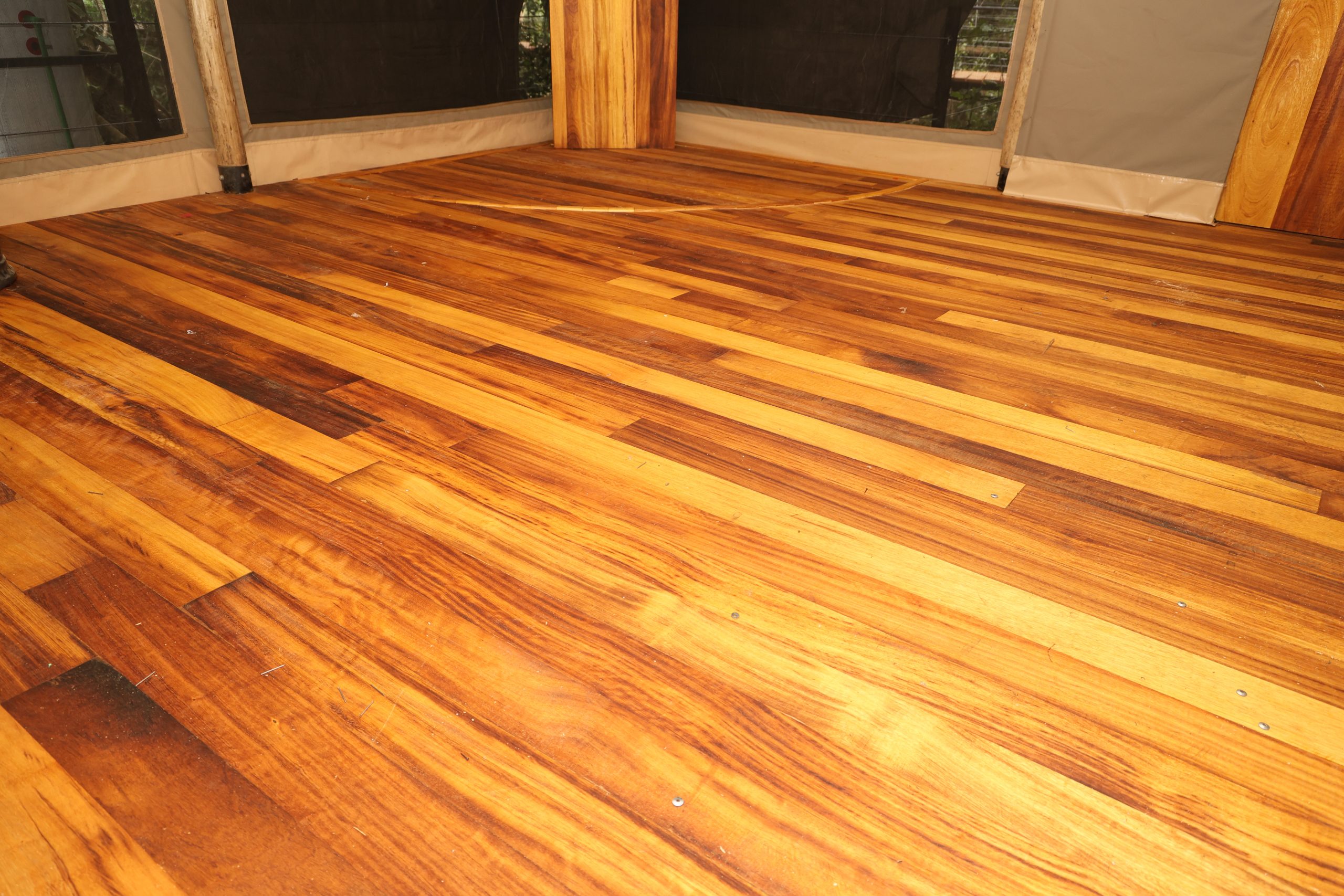 Timeless Timber Wood
